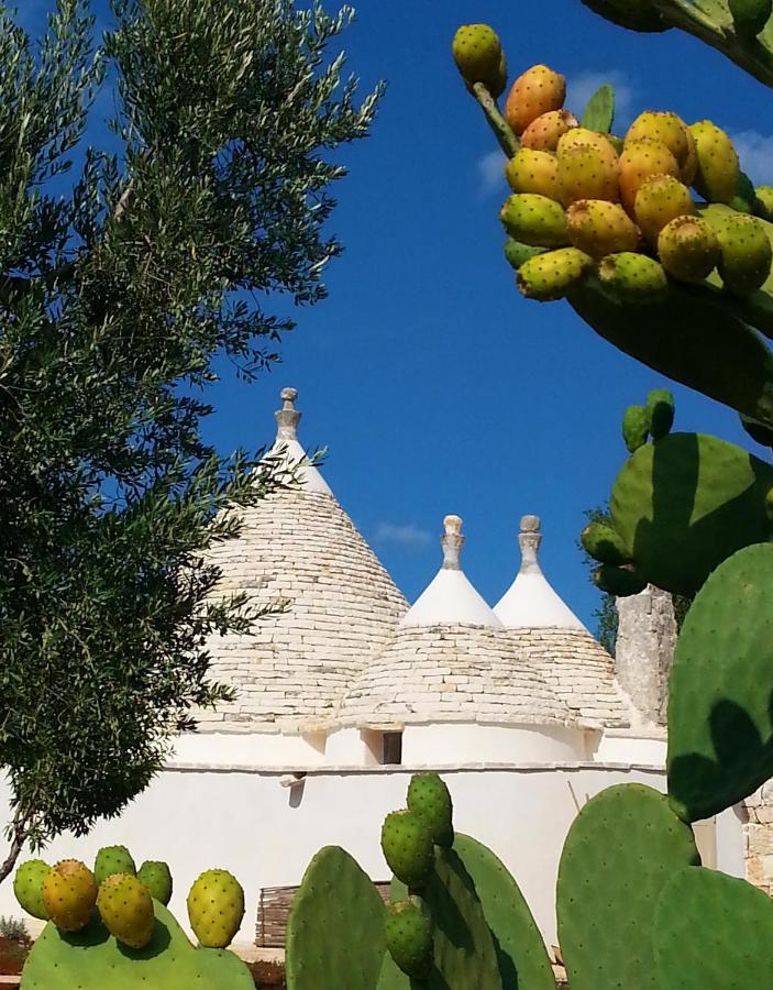 Trulli Il Geco Sognante Villa Ceglie Messapica Eksteriør billede